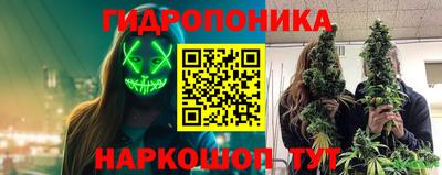 гидра Кинель