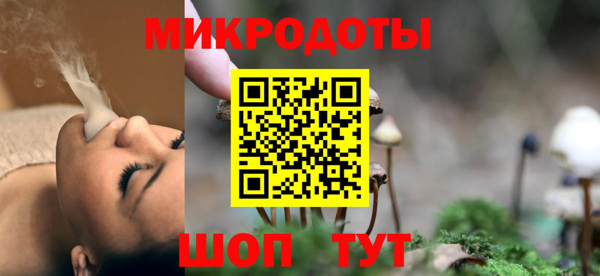 Кириши  Галлюциногенные грибы прущие грибы  Вход с VPN  Галлюциногенные грибы Psilocybe 